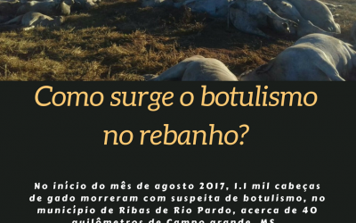 Como surge o botulismo no rebanho?