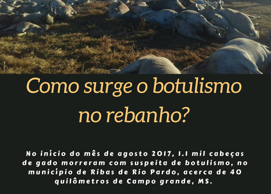 Como surge o botulismo no rebanho?