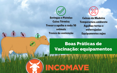 Boas Práticas de Vacinação: equipamentos